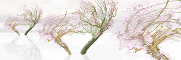 Alberi fioriti disegnati, illustrazione storica di In Mindfulness