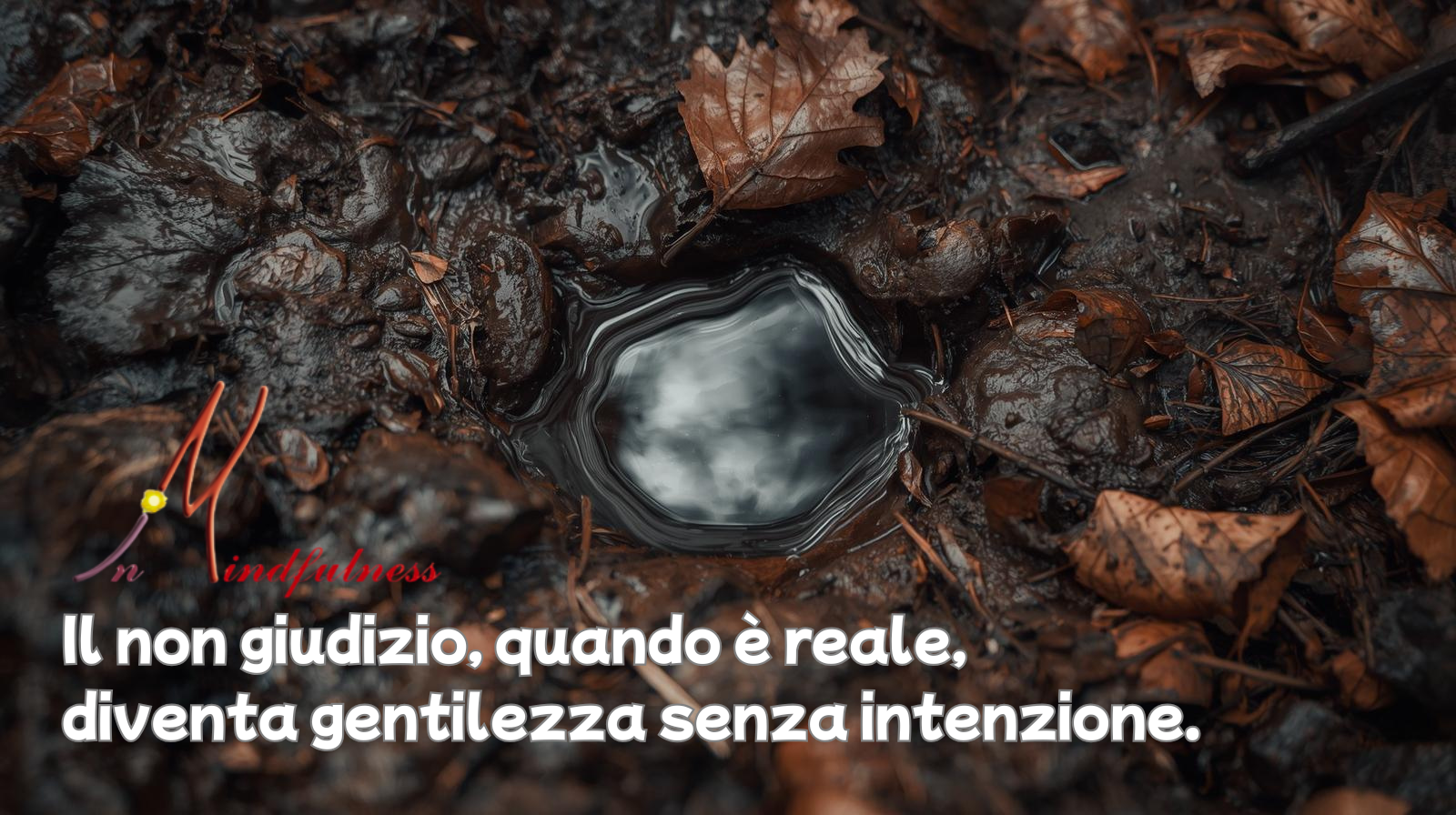 meditazione e non giudizio